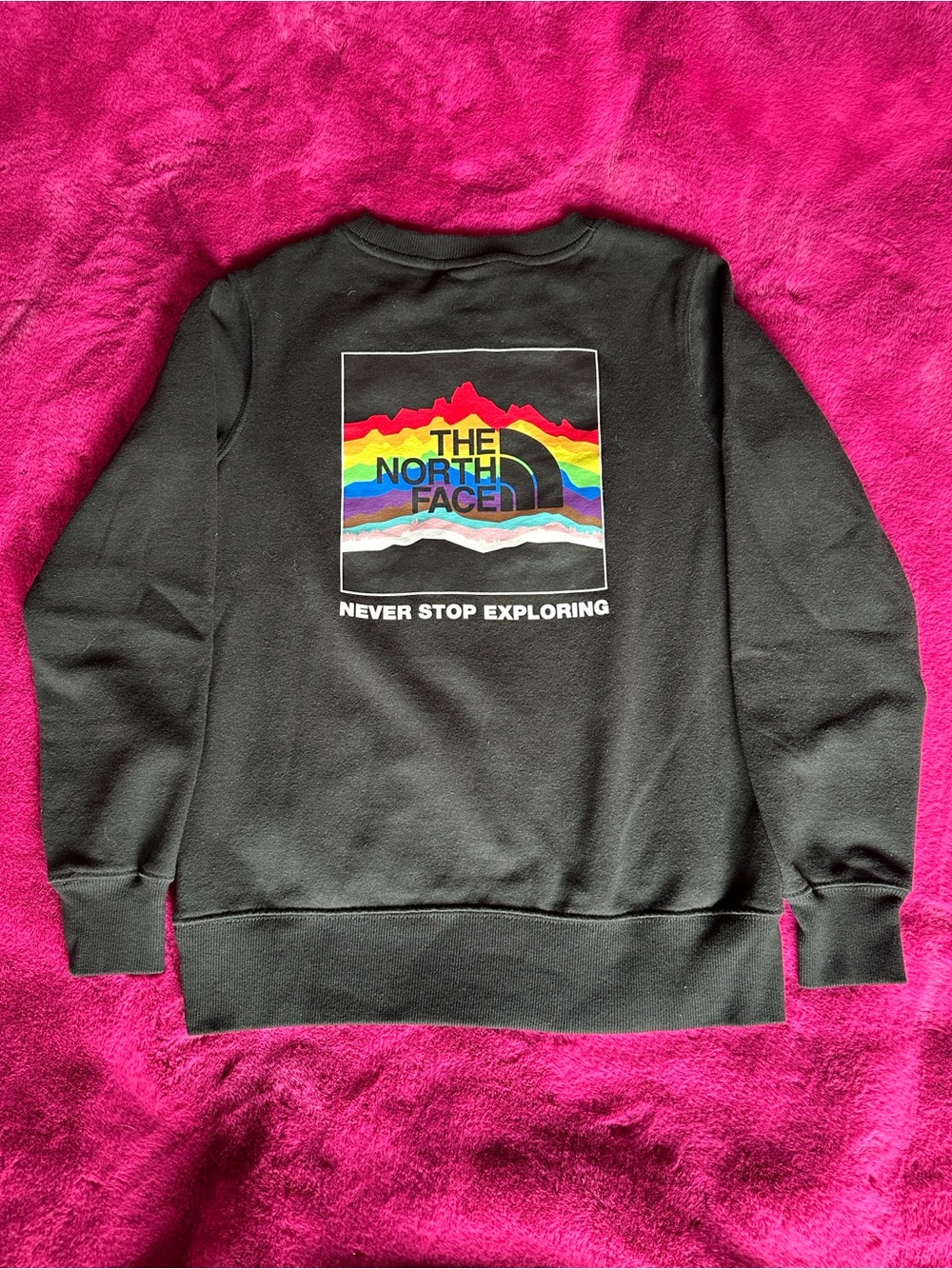The North Face Pride Sweatshirt